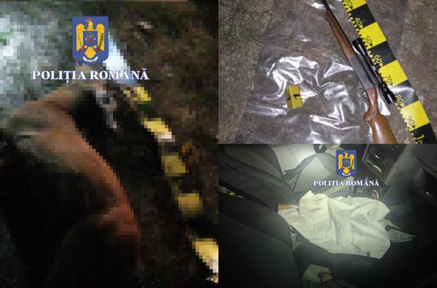  Un bărbat de 53 de ani din Șintereag, reținut pentru braconaj, deținere ilegală de arme și muniții