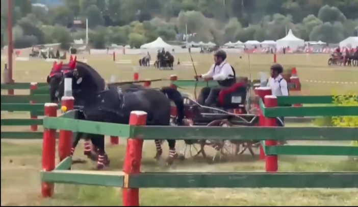  Herghelia Beclean învingatoare la Concursul Internațional de Atelaje cu Doi Cai de la Bodoc. VIDEO