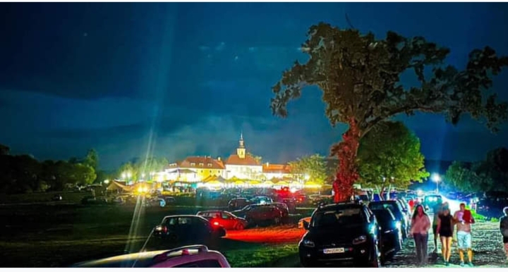  14800 de participanți la ediția din acest an a Festivalului ArtCast Teleki