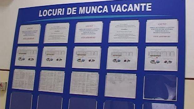  2456 persoane şi-au găsit un loc de muncă cu sprijinul AJOFM Bistriţa – Năsăud în primele sapte luni ale anului 2024