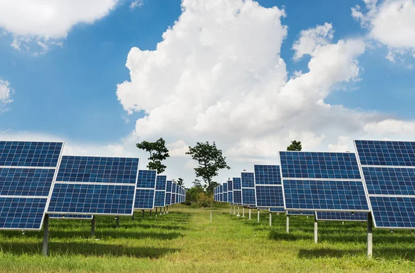  La Livezile se va construi unul dintre cale mai mari parcuri fotovoltaice din România