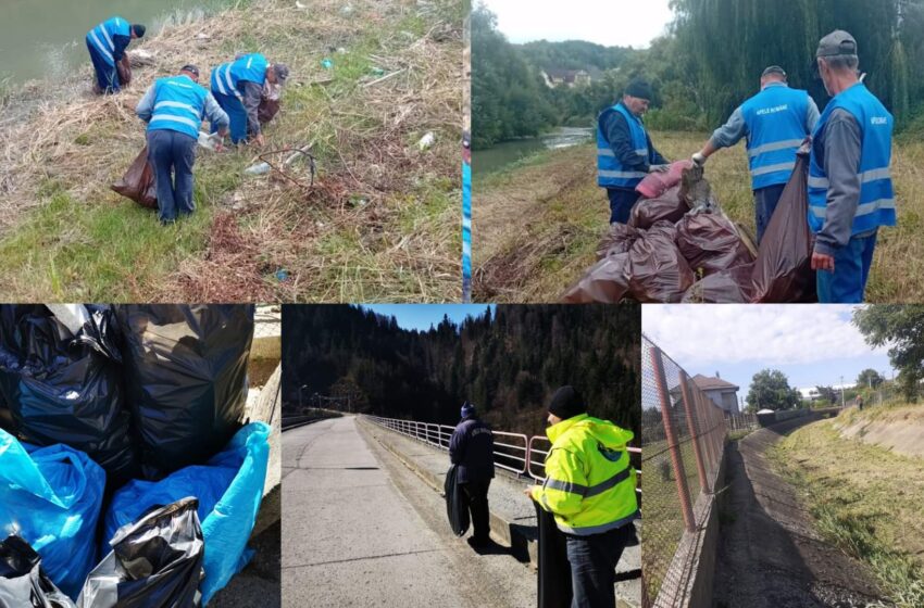  Angajații Apelor Române au curățat de gunoaie mai multe tronsoane ale cursurilor de apă din Bistrița-Năsăud. FOTO