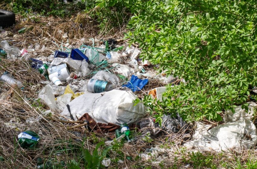  Bilanțul controalelor și amenzilor Gărzii de Mediu în primele 8 luni ale anului 2024