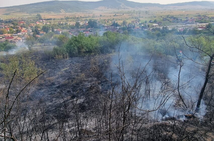  Incendii de vegetație uscată la Cepari și Livezile. FOTO