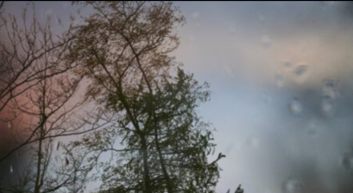  Un nou Cod Galben de ploi și vânt în Bistrița-Năsăud