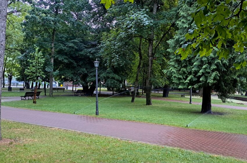  Intervenții programate de Primăria Bistrița în această săptămână