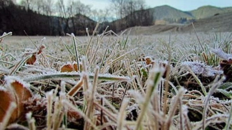  Brumă și temperaturi negative în noaptea trecută în mai multe locuri din județul Bistrița-Năsăud
