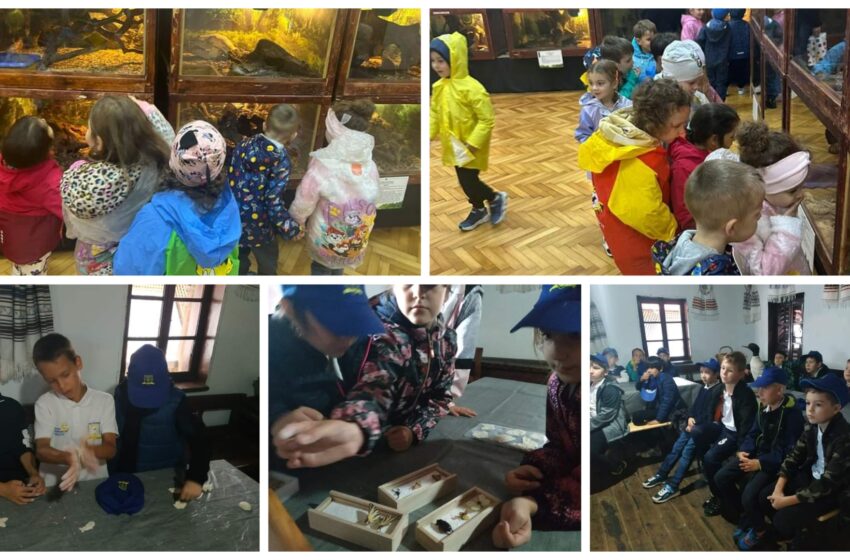  Ziua Mondială a Animalelor sărbătorită la Complexul Muzeal Bistrița-Năsăud. FOTO
