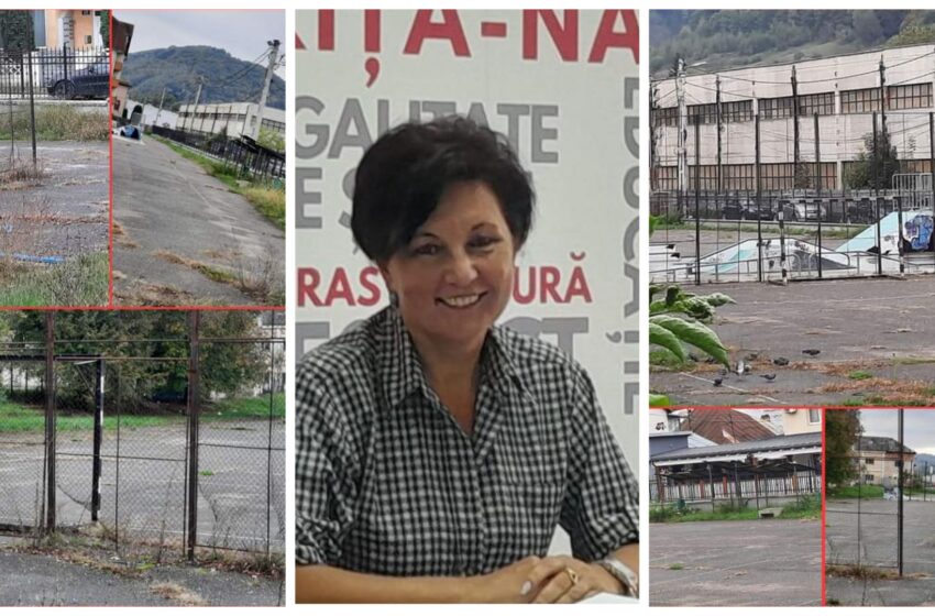  Monica Săsărman: Nu știu de unde a desprins domnul primar Vlașin ideea de politizare a unității de învățământ din Năsăud