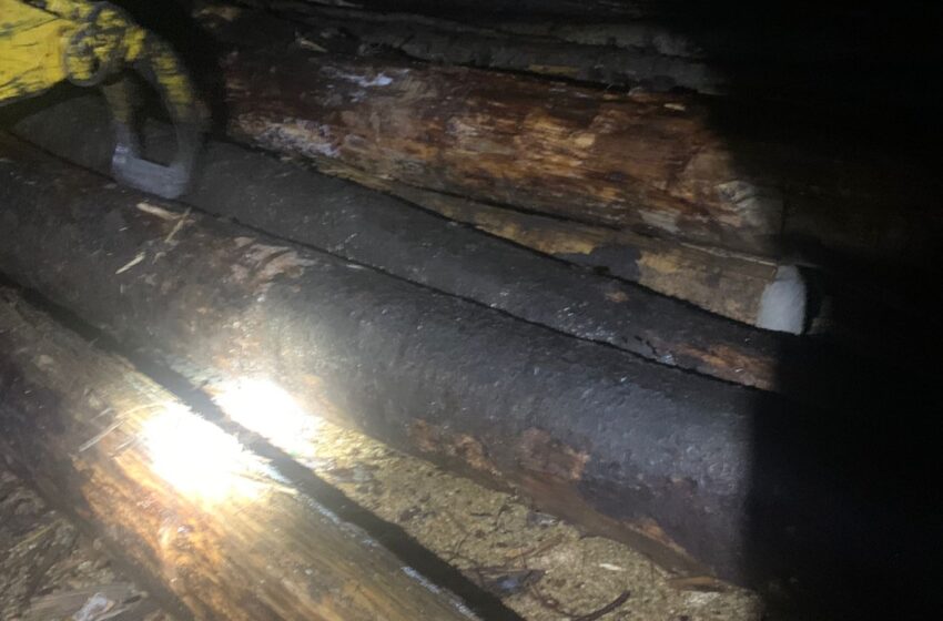  Material lemnos confiscat de jandarmii montani la Colibița. FOTO/VIDEO