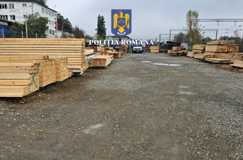 Doi bărbați din Josenii Bârgăului au fost reținuți pentru delicte silvice, în urma unor percheziții. FOTO