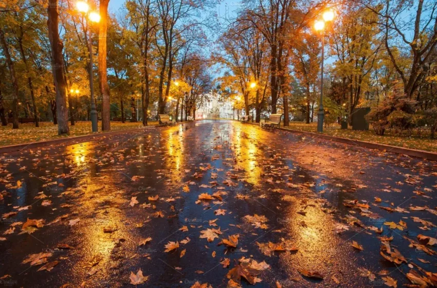  Vreme ploioasă și închisă în acest weekend în Bistrița-Năsăud