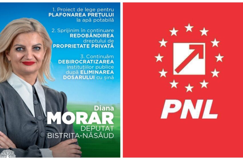  Diana Morar: CRUCIADA CAVALERULUI ROBERT