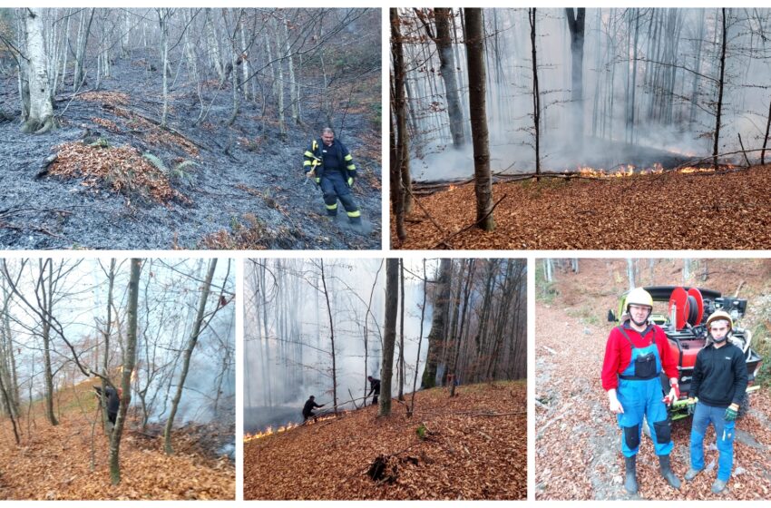  Incendiu la Parva! Au ars 5 hectare de litieră de pădure! FOTO/VIDEO