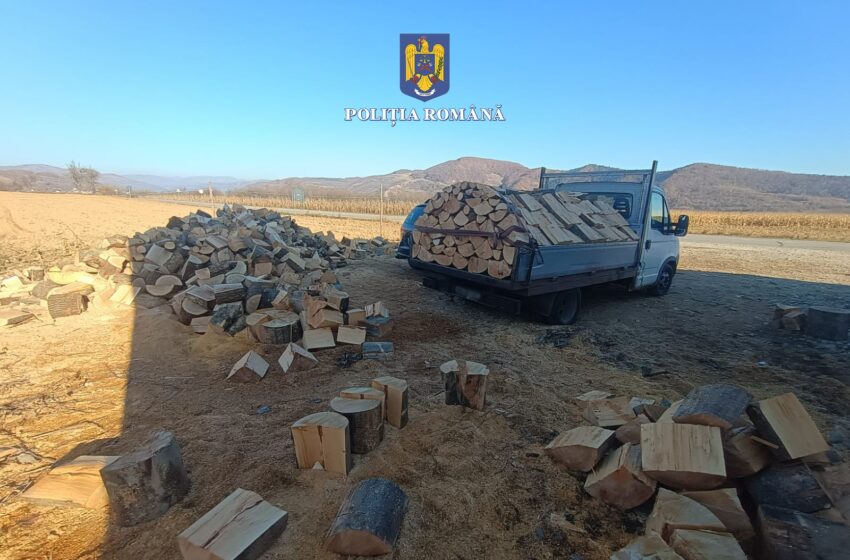  Material lemnos confiscat de polițiști. Peste 170 de metri cubi, în valoare de peste 44. 000 de lei