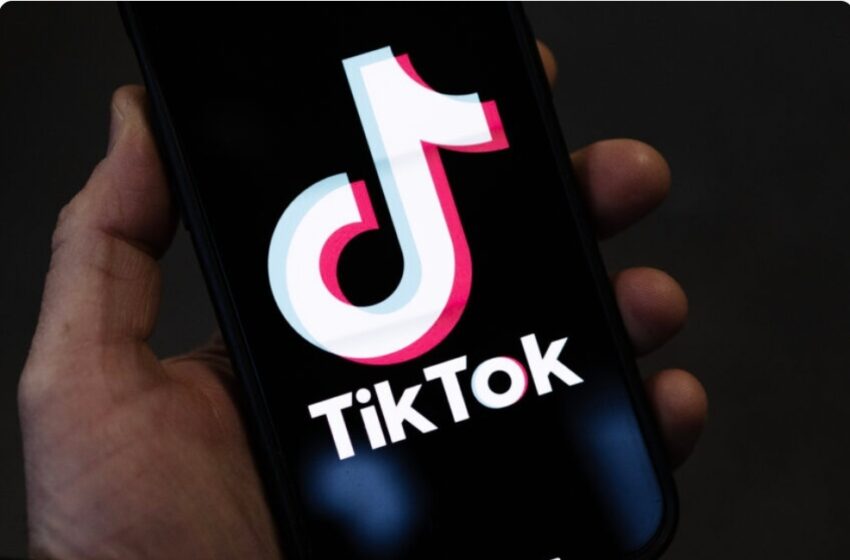  TikTok a eliminat milioane de like-uri și zeci de mii de urmăritori falși în România