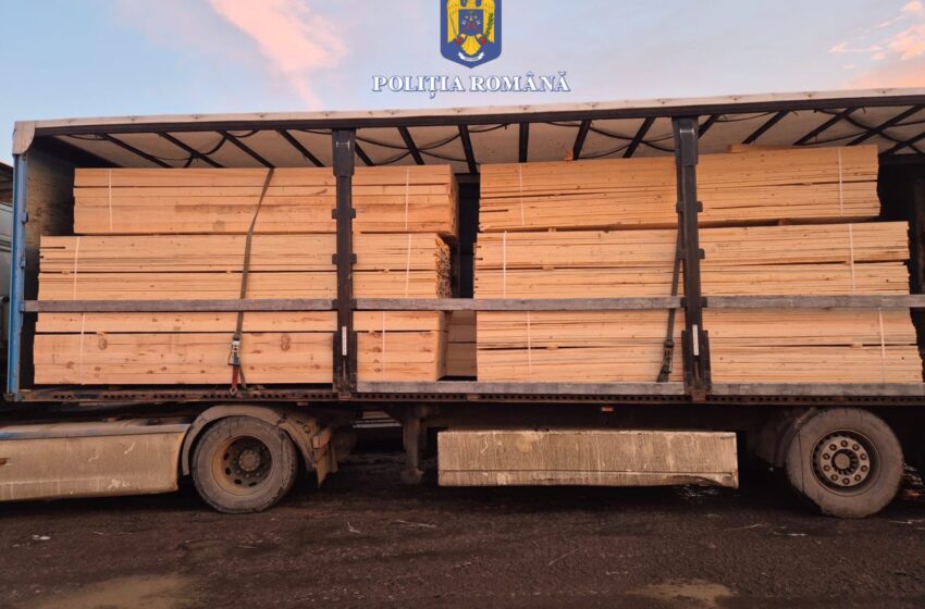  Material lemnos transportat ilegal, în valoare de peste 29.000 de lei, indisponibilizat de polițiștii