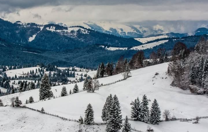  A fost frig în tot județul Bistrița-Năsăud, în prima noapte a Noului An