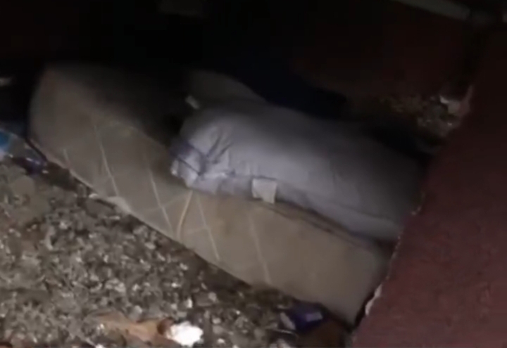  Intervenție a polițiștilor locali  pentru igienizarea unei zone de pe Bulevardul Independenței din Bistrița. VIDEO