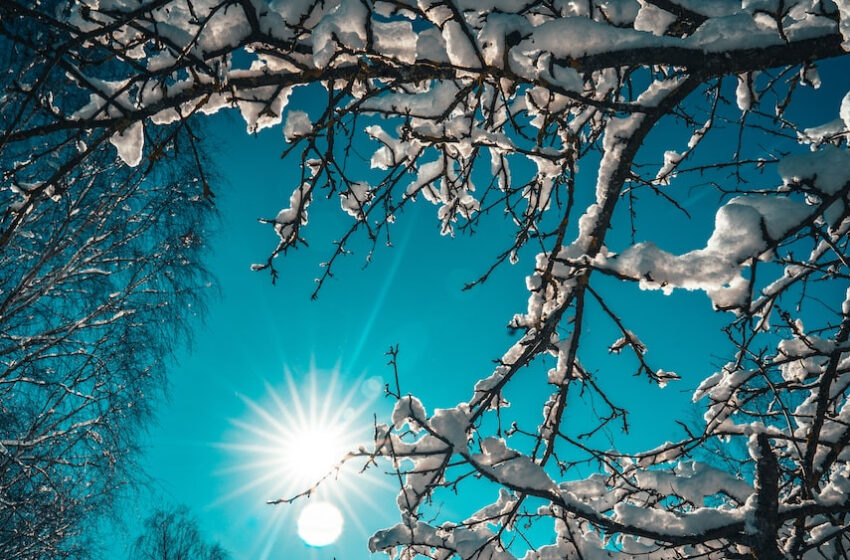  Temperaturi record în România: 37 de stații meteo au înregistrat cea mai caldă dimineață de 8 ianuarie