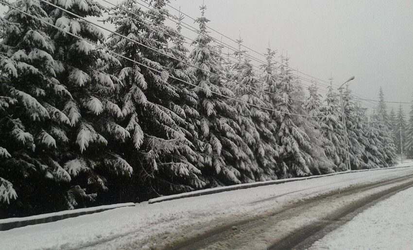  COD GALBEN meteorologic în Bistrița-Năsăud
