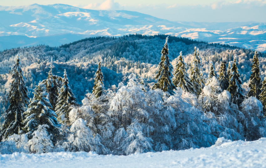  La Monor a fost cel mai frig în această dimineață, -12,6°C