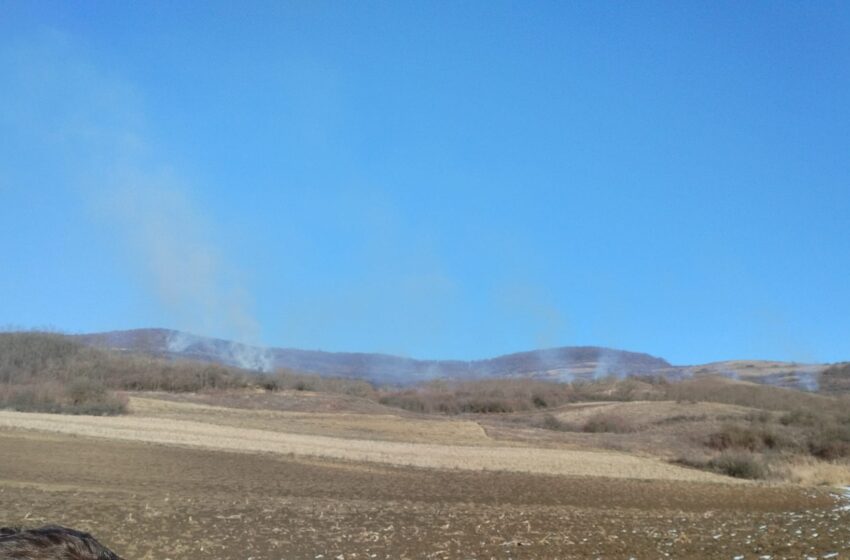  Incendiu întins pe 10 hectare, ajuns la marginea pădurii, între Lechința și Țigău
