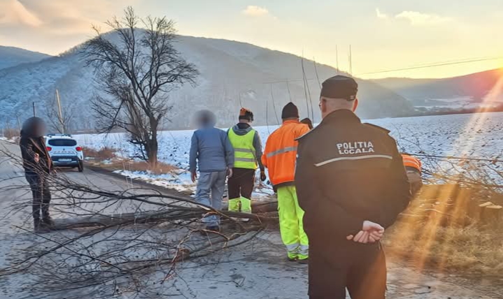  Un stâlp de electricitate a căzut pe DJ 154, la Sărata