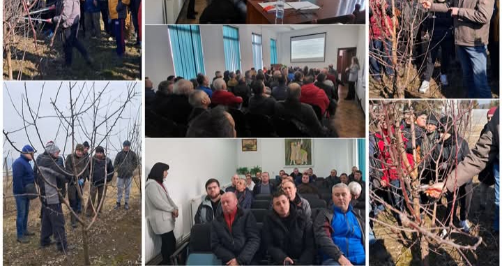  Stațiunea Pomicolă Bistrița a desfășurat un curs de inițiere în tehnica tăierilor speciilor pomicole
