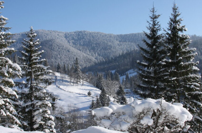  Ninsori și vreme rece în acest weekend, în județul Bistrița-Năsăud