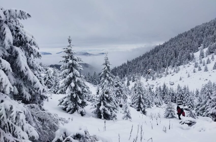  Ger cumplit la Lunca Ilvei! -15,9°C minima înregistată noaptea trecută un județul Bistrița-Năsăud!