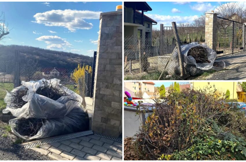  Aflați unde puteți preda deșeurile vegetale. Campania gratuită de colectare va avea loc în aprilie. FOTO