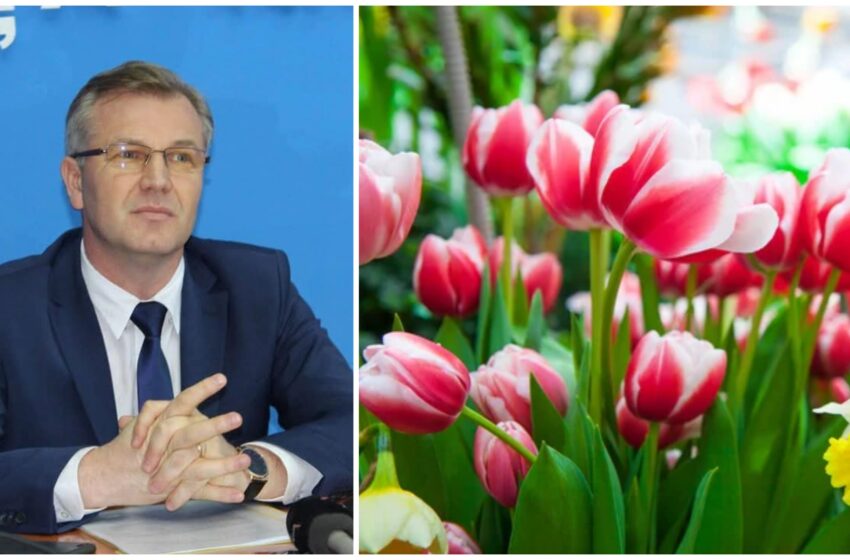  Subprefectul Stelian Dolha: În această zi specială pentru voi femeile, vă doresc să aveți parte doar de bucurii și împliniri!