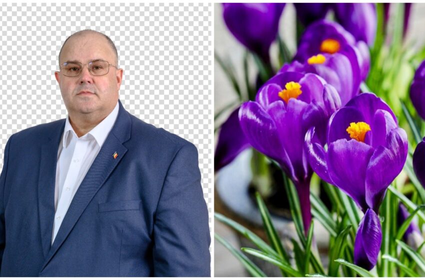  Florin Urîte, consilier municipal PNL: Vă doresc să aveți în suflet o veșnică primăvară! La multi ani frumoase domnișoare și doamne!