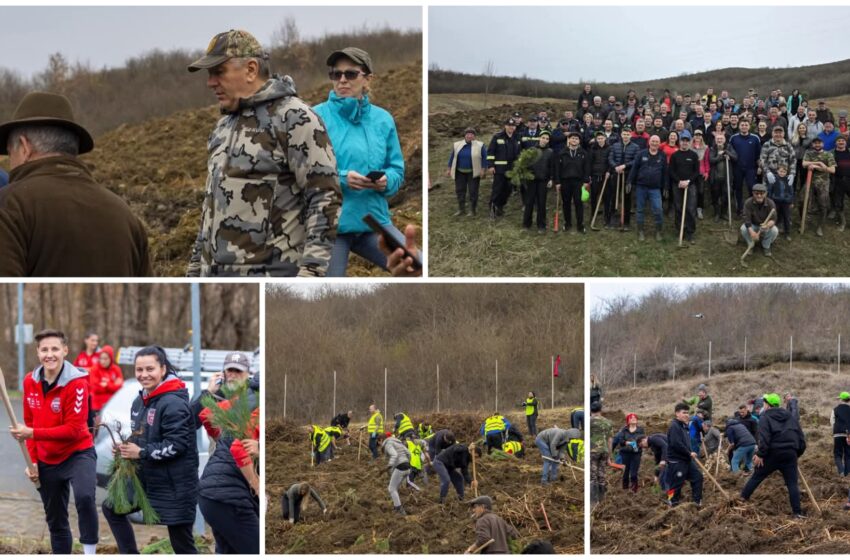  5050 de puieți plantați pentru o nouă pădure la Sărata. FOTO