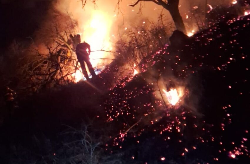  Peste 100 de hectare afectate de incendiile de vegetație din Bistrița-Năsăud. F0TO/VIDEO
