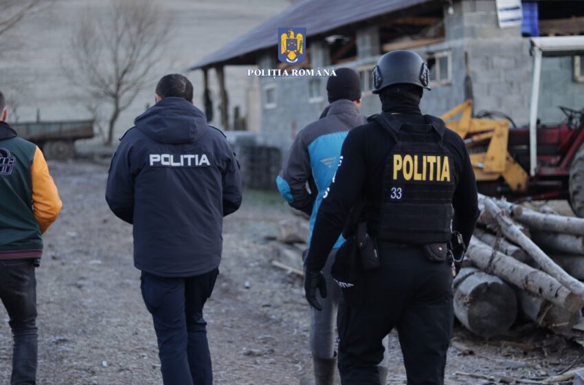  Percheziții în Bistrița-Năsăud. Un pădurar din Dumitra a fost reținut. FOTO/VIDEO