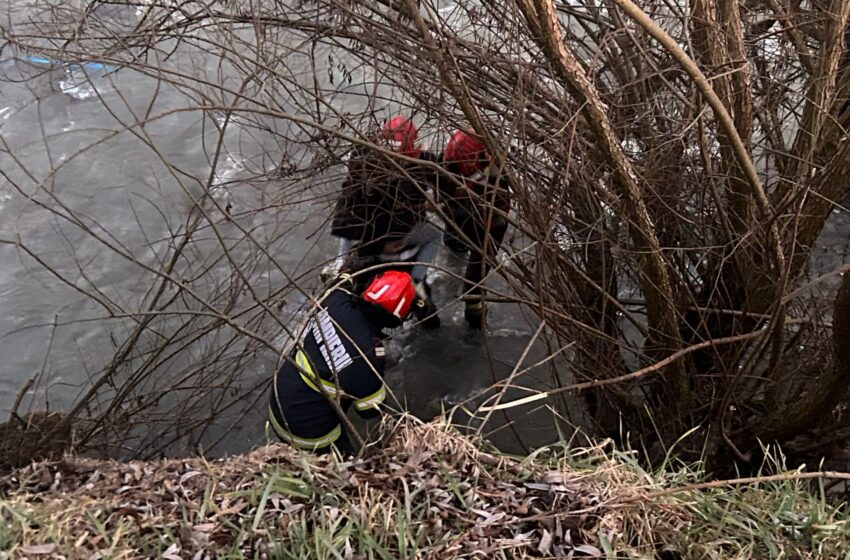  Fetiță căzută în râul Bistrița în zona Podului Budacului din municipiu. FOTO