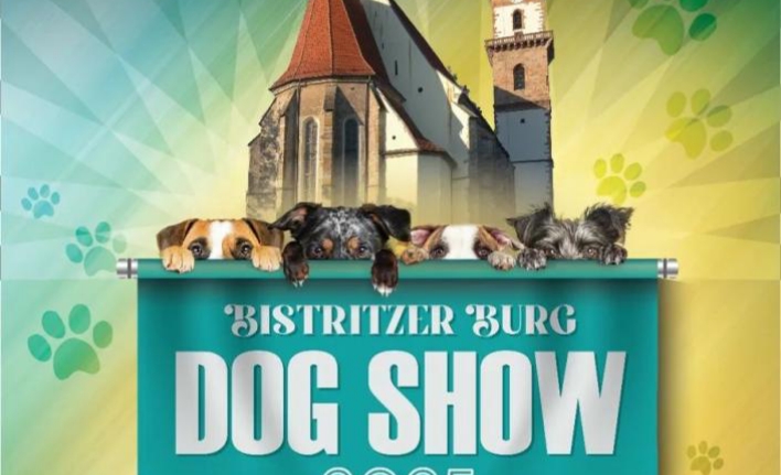  Peste 1.300 de câini din 94 de rase diferite la Bistritzer Burg Dog Show 2025