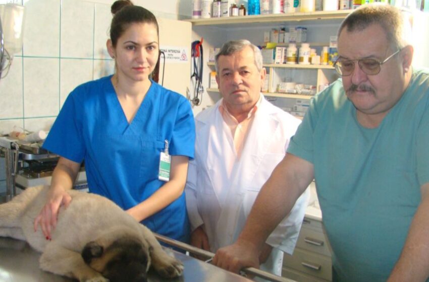  La Mulți Ani doctorului veterinar Sárkány Francisc!