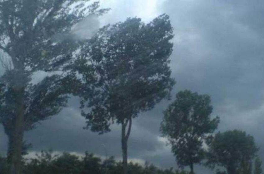  Avertizare meteorologică de vânt puternic în Bistrița-Năsăud
