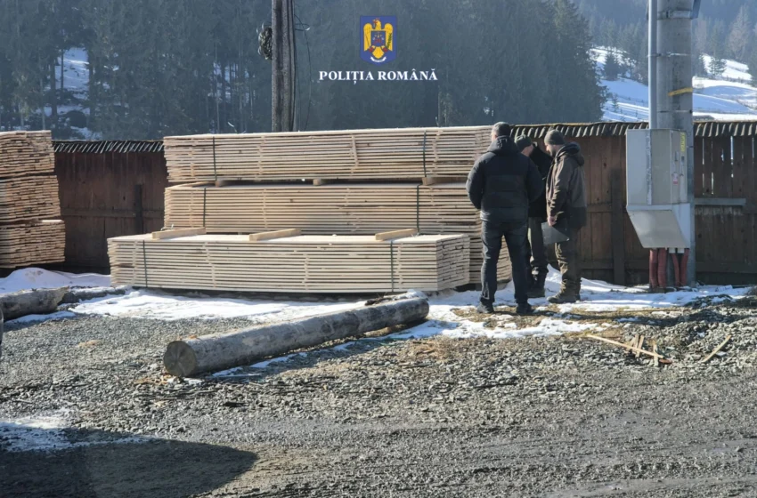  Percheziții în domeniul silvic. Un bărbat din Lunca Ilvei a fost reținut. FOTO