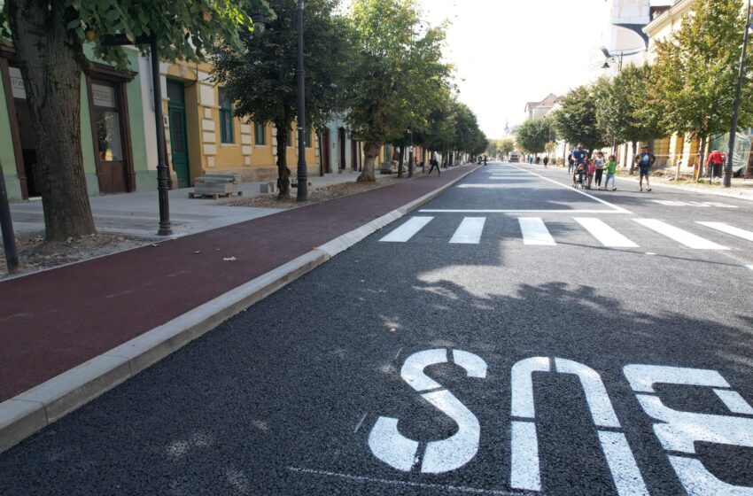  Primarul Gabriel Lazany anunță că inaugurarea „Liniei Verzi” va fi amânată din nou