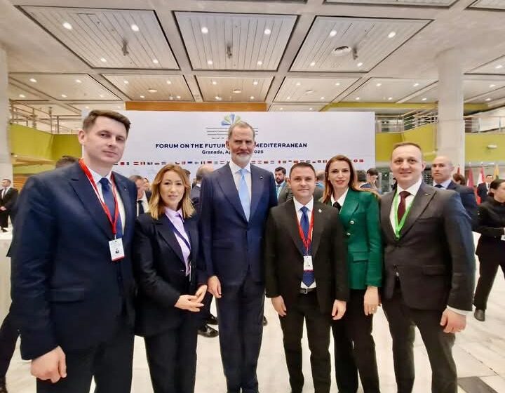  Deputatul Daniel Suciu, întâlnire cu Regele Felipe al Spanie. FOTO