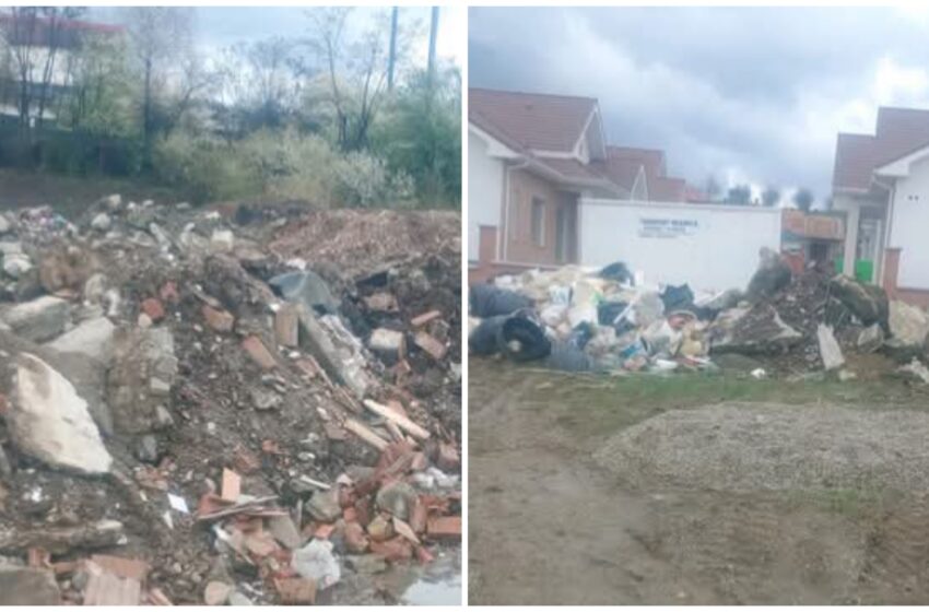  Două firme și o persoană fizică au fost amendate de comisarii Gărzii de Mediu