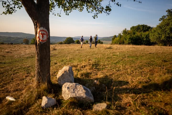  Via Transilvanica,  Premiul pentru Cea mai bună promovare la Gala Destinația Anului 2025