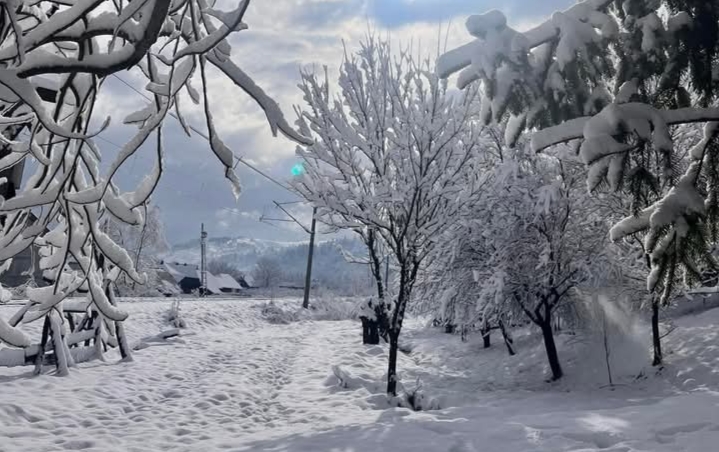  Cod Galben de vreme deosebit de rece, brumă, viscol și îngheț la sol, prelungit în Bistrița-Năsăud