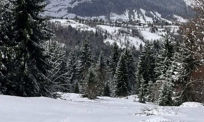  COD GALBEN de vreme rea prelungit în Bistrița-Năsăud