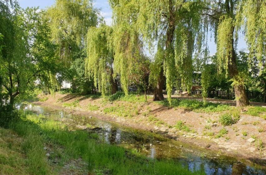 Investiții de 17, 3 milioane lei pe Valea Castanilor. Se va realiza un Coridor ecologic