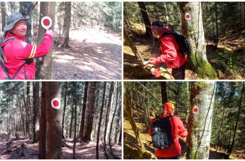  Salvamontiștii bistrițeni au refăcut marcajele pe traseul Colibița – Piatra lui Orban. FOTO